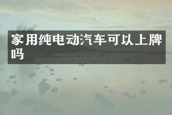 家用纯电动汽车可以上牌吗