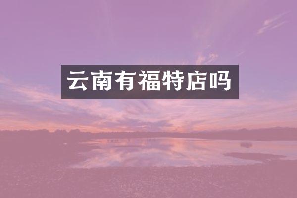 云南有福特店吗