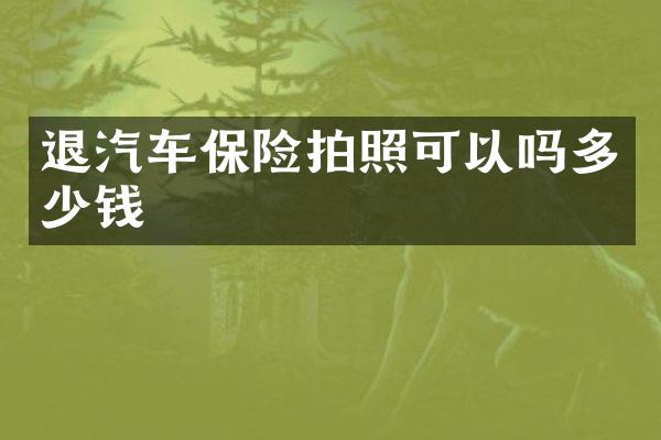 退汽车保险拍照可以吗多少钱
