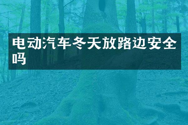 电动汽车冬天放路边安全吗