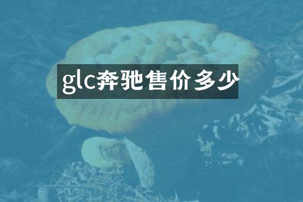 glc奔驰售价多少