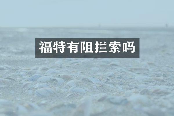 福特有阻拦索吗