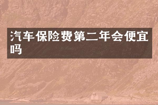 汽车保险费第二年会便宜吗