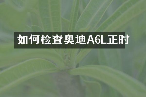 如何检查奥迪A6L正时