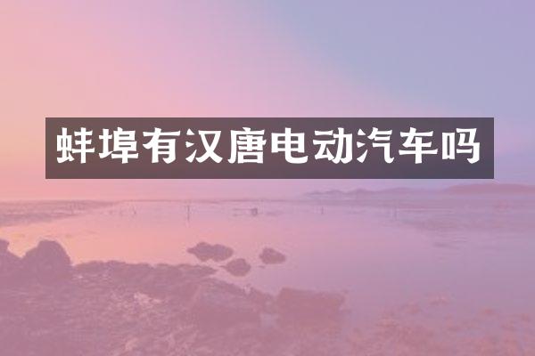 蚌埠有汉唐电动汽车吗
