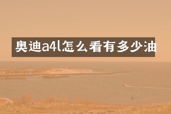 奥迪a4l怎么看有多少油