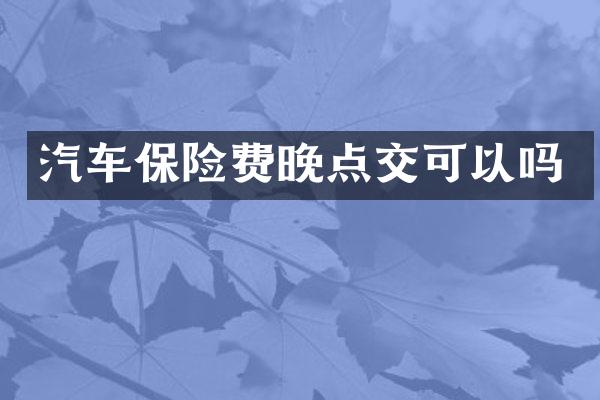 汽车保险费晚点交可以吗