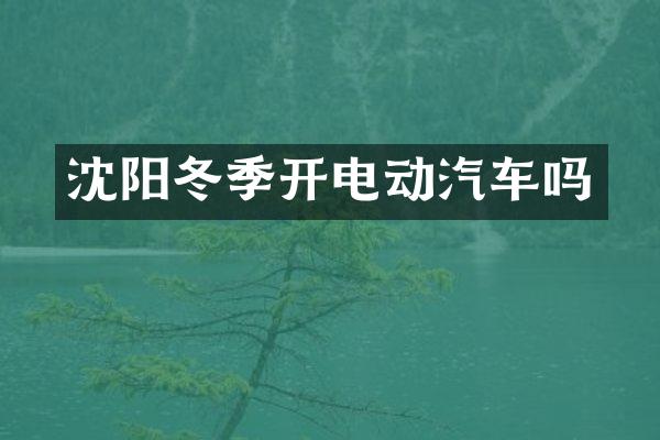 沈阳冬季开电动汽车吗