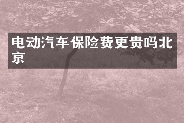 电动汽车保险费更贵吗北京