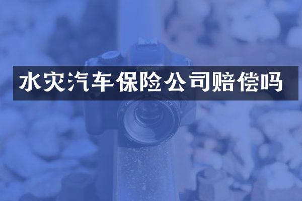 水灾汽车保险公司赔偿吗