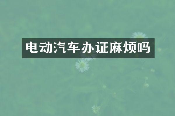 电动汽车麻烦吗