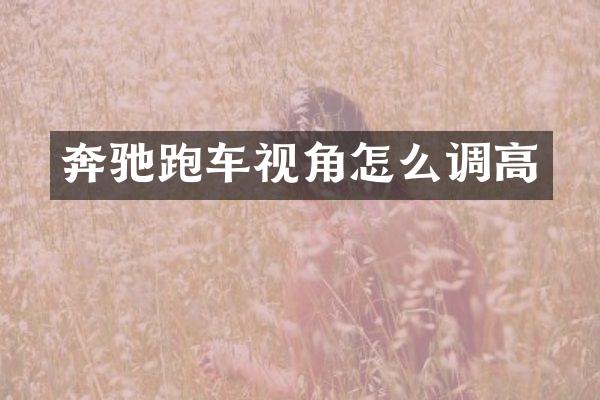 奔驰跑车视角怎么调高