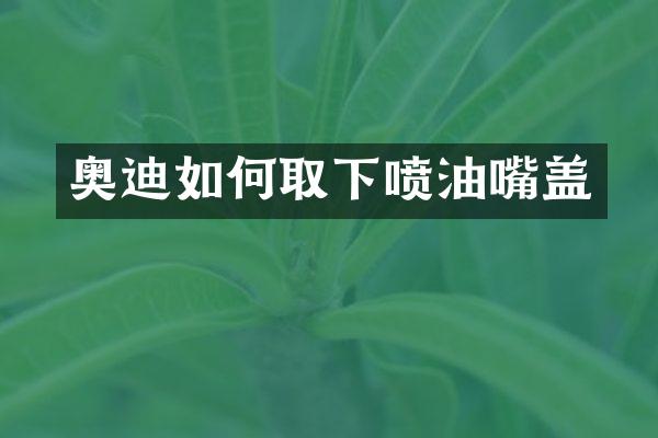 奥迪如何取下喷油嘴盖