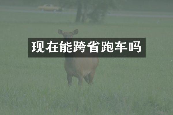 现在能跨省跑车吗