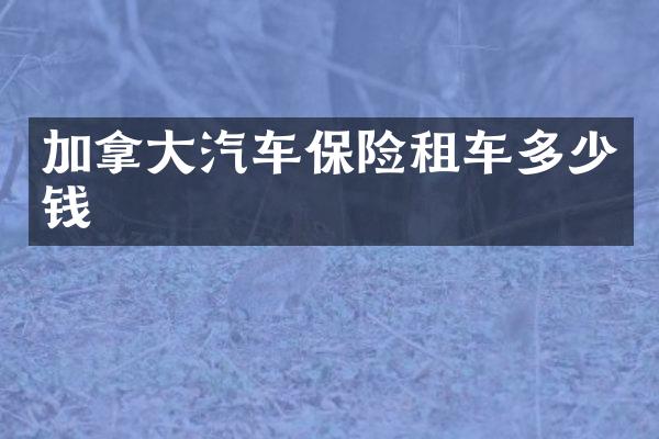 加拿大汽车保险租车多少钱