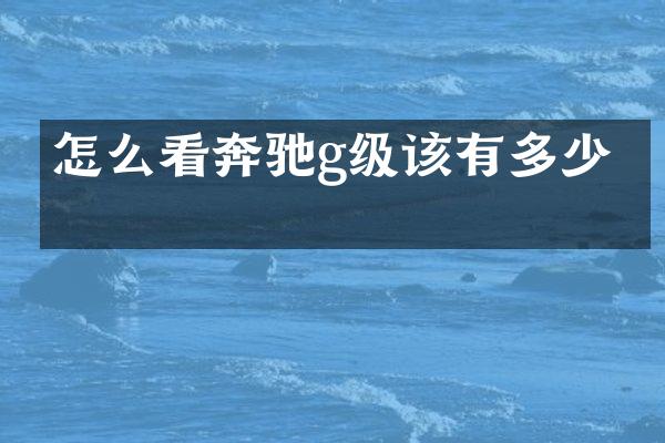 怎么看奔驰g级该有多少油