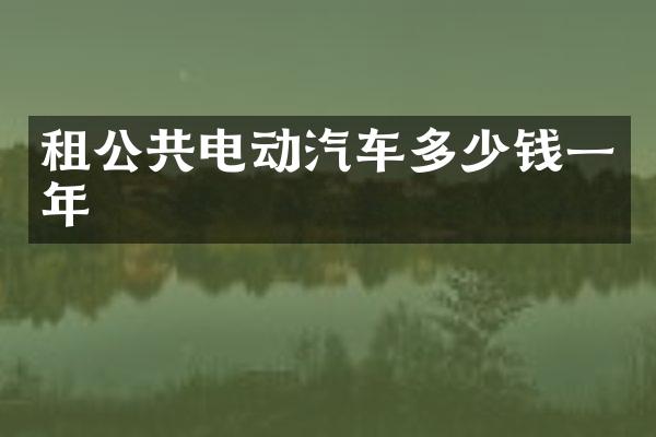 租公共电动汽车多少钱一年