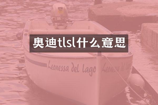 奥迪tlsl什么意思