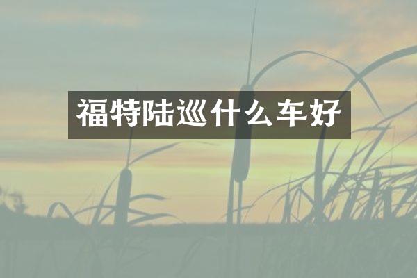 福特陆巡什么车好