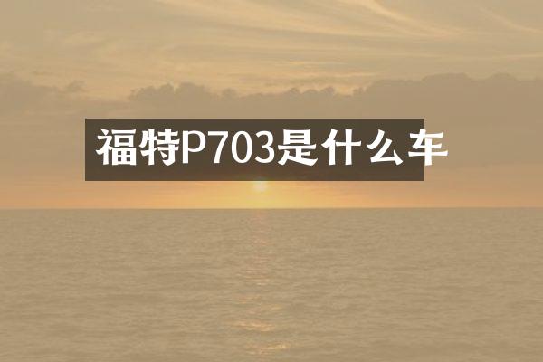 福特P703是什么车
