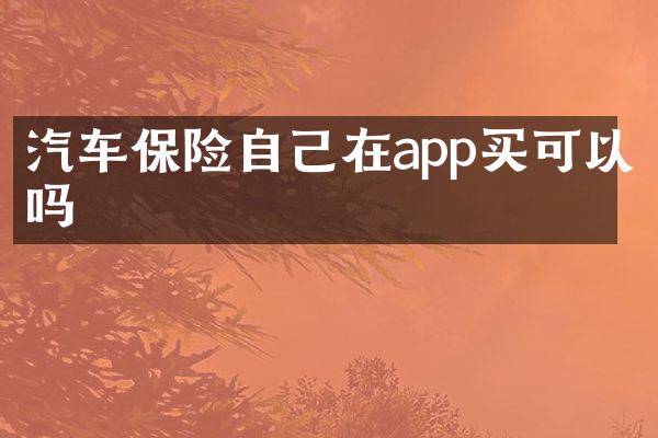 汽车保险自己在app买可以吗
