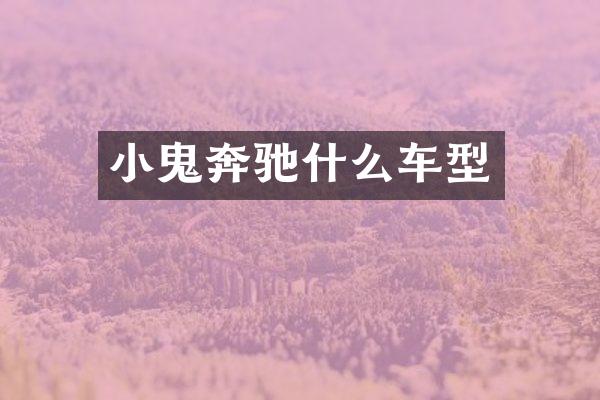 小鬼奔驰什么车型