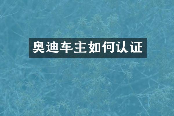 奥迪车主如何认证