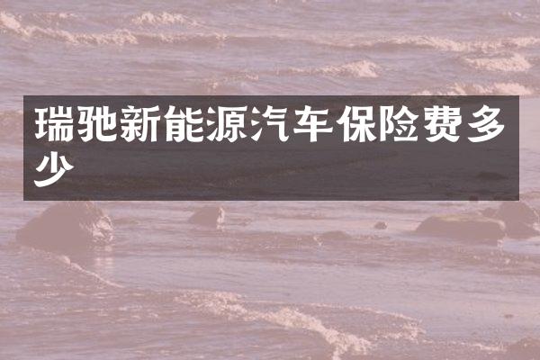 瑞驰新能源汽车保险费多少