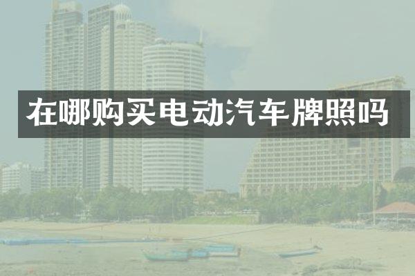 在哪购买电动汽车牌照吗