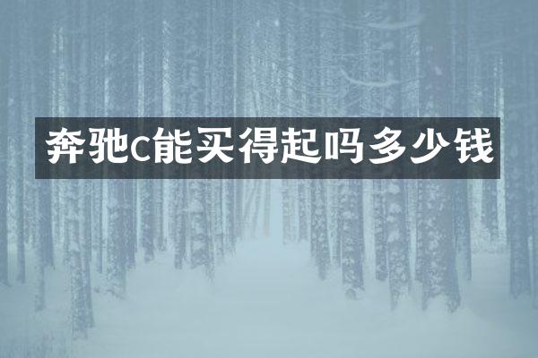 奔驰c能买得起吗多少钱