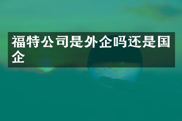 福特公司是外企吗还是国企