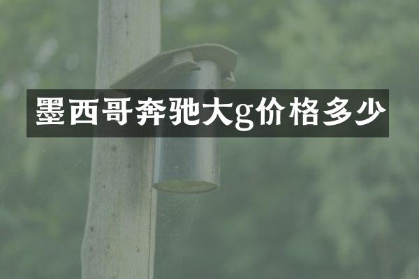 墨西哥奔驰大g价格多少