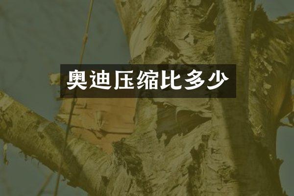 奥迪压缩比多少