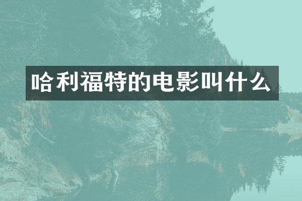 哈利福特的电影叫什么