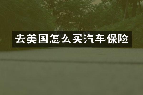 去美国怎么买汽车保险