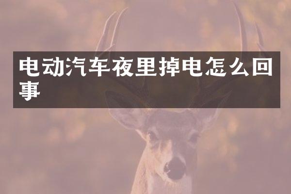 电动汽车夜里掉电怎么回事