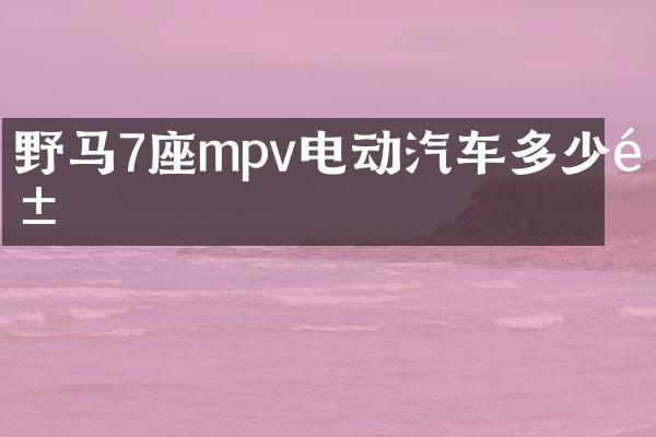 野马7座mpv电动汽车多少钱