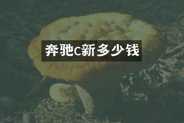 奔驰c新多少钱