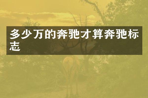多少万的奔驰才算奔驰标志