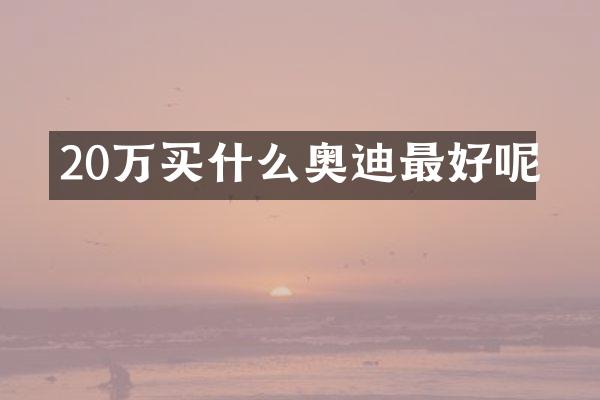 20万奥迪最好呢