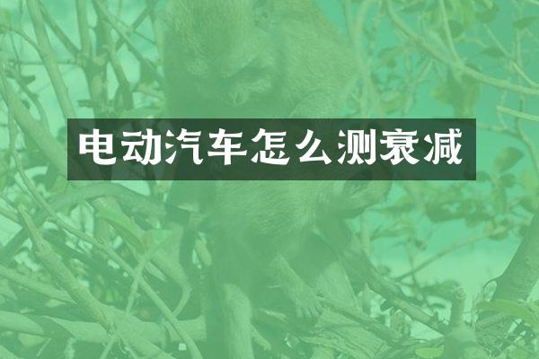 电动汽车怎么测衰减