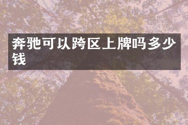 奔驰可以跨区上牌吗多少钱