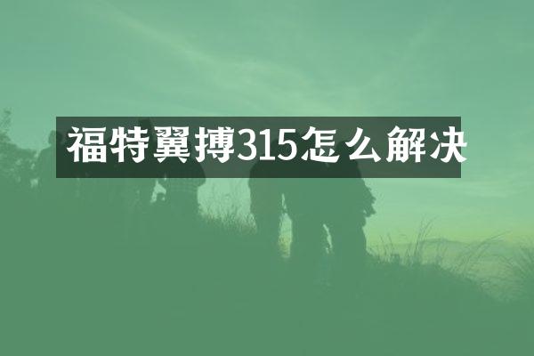 福特翼搏315怎么解决