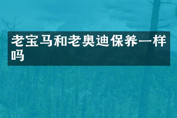 老宝马和老奥迪保养一样吗