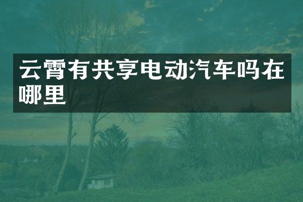 云霄有共享电动汽车吗在哪里