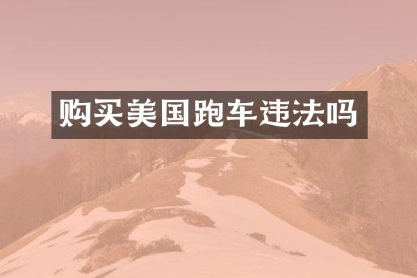 购买美国跑车违法吗