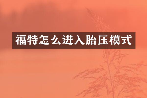 福特怎么进入胎压模式