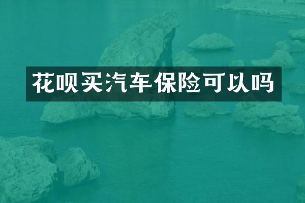 买汽车保险可以吗