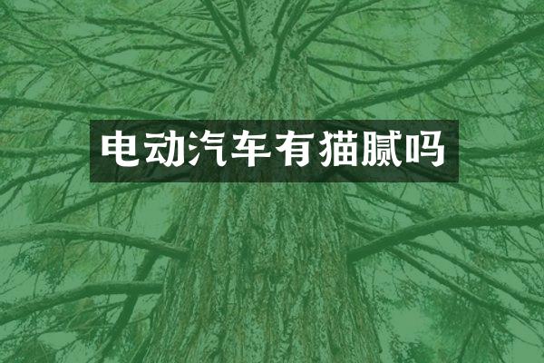 电动汽车有猫腻吗