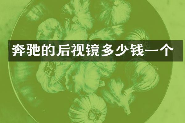 奔驰的后视镜多少钱一个